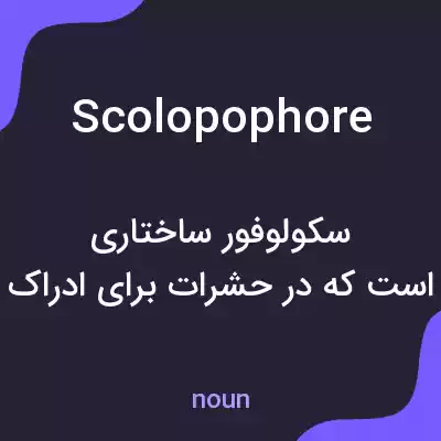 معنی scolopophore به فارسی معنی scolopophore به فارسی