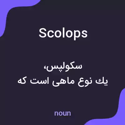 معنی scolops به فارسی معنی scolops به فارسی