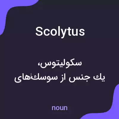 معنی scolytus به فارسی
