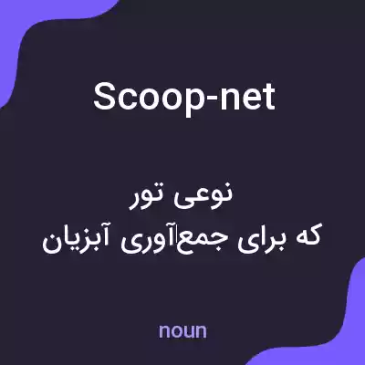 معنی scoop-net به فارسی
