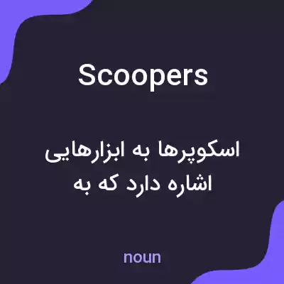 معنی scoopers به فارسی معنی scoopers به فارسی