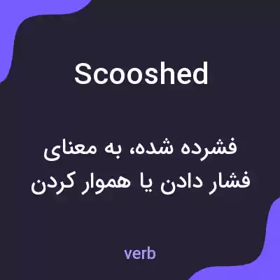 معنی scooshed به فارسی معنی scooshed به فارسی