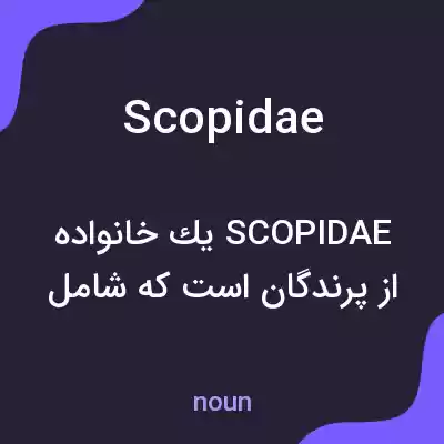 معنی scopidae به فارسی معنی scopidae به فارسی