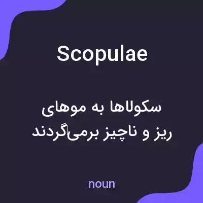 معنی scopulae به فارسی