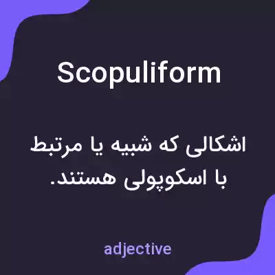 معنی scopuliform به فارسی معنی scopuliform به فارسی