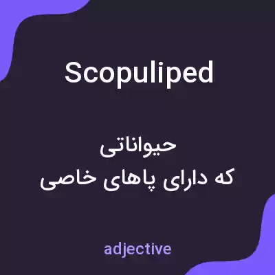 معنی scopuliped به فارسی معنی scopuliped به فارسی
