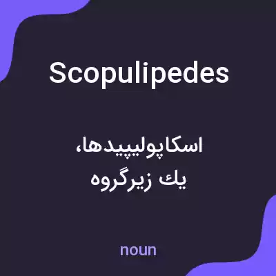 معنی scopulipedes به فارسی معنی scopulipedes به فارسی