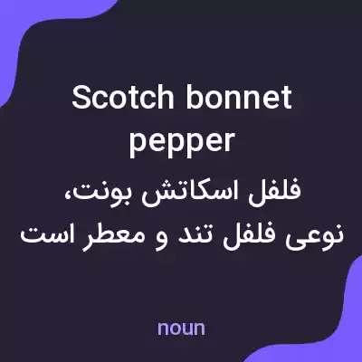 معنی scotch bonnet pepper به فارسی معنی scotch bonnet pepper به فارسی