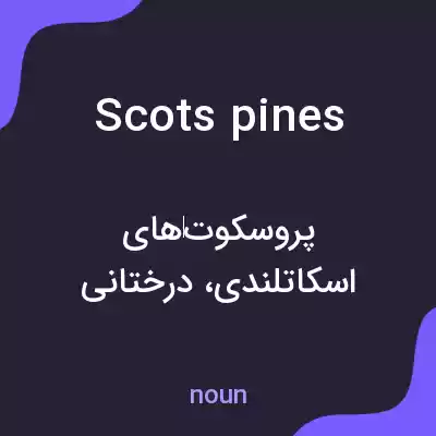 معنی scots pines به فارسی معنی scots pines به فارسی