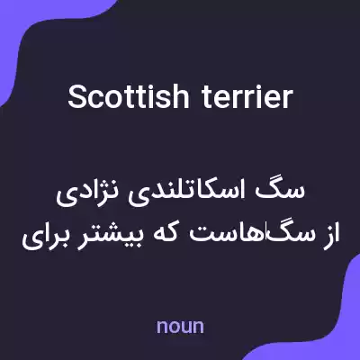 معنی scottish terrier به فارسی معنی scottish terrier به فارسی
