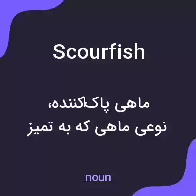 معنی scourfish به فارسی معنی scourfish به فارسی