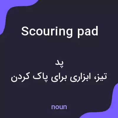 معنی scouring pad به فارسی معنی scouring pad به فارسی