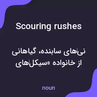 معنی scouring rushes به فارسی معنی scouring rushes به فارسی