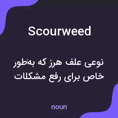 معنی scourweed به فارسی معنی scourweed به فارسی