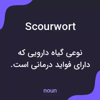 معنی scourwort به فارسی معنی scourwort به فارسی