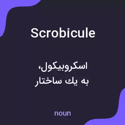 معنی scrobicule به فارسی معنی scrobicule به فارسی