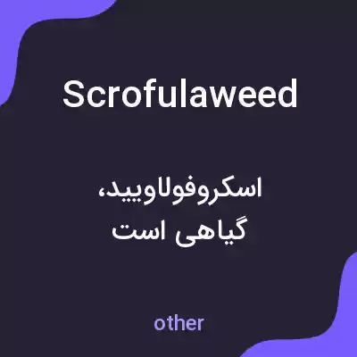 معنی scrofulaweed به فارسی معنی scrofulaweed به فارسی