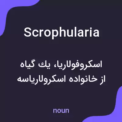 معنی scrophularia به فارسی معنی scrophularia به فارسی
