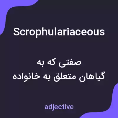 معنی scrophulariaceous به فارسی معنی scrophulariaceous به فارسی