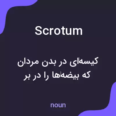 معنی scrotum به فارسی معنی scrotum به فارسی