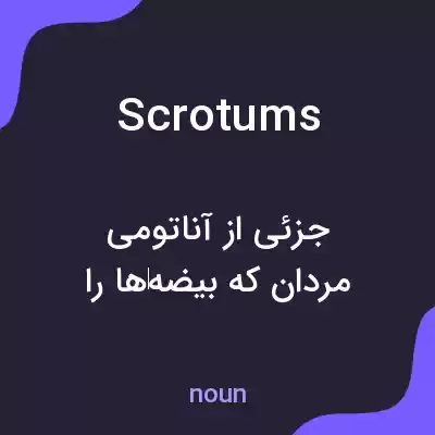 معنی scrotums به فارسی معنی scrotums به فارسی