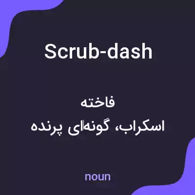 معنی scrub-dash به فارسی