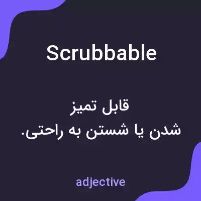 معنی scrubbable به فارسی معنی scrubbable به فارسی