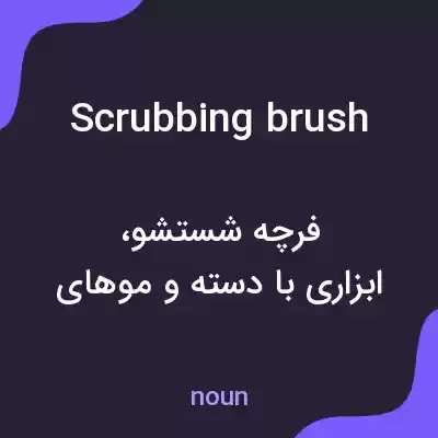 معنی scrubbing brush به فارسی