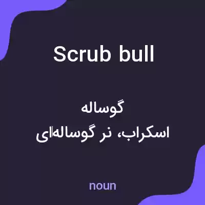 معنی scrub bull به فارسی