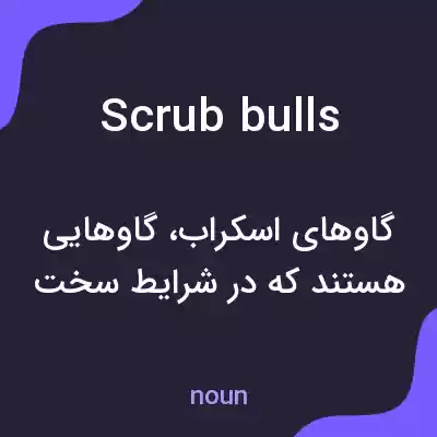 معنی scrub bulls به فارسی معنی scrub bulls به فارسی