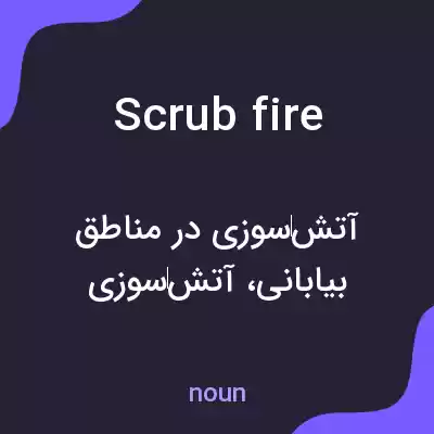 معنی scrub fire به فارسی