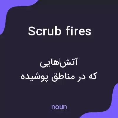 معنی scrub fires به فارسی معنی scrub fires به فارسی