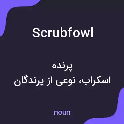 معنی scrubfowl به فارسی