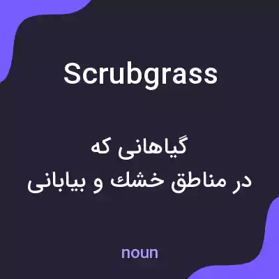 معنی scrubgrass به فارسی معنی scrubgrass به فارسی