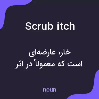 معنی scrub itch به فارسی