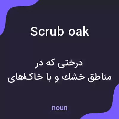 معنی scrub oak به فارسی معنی scrub oak به فارسی