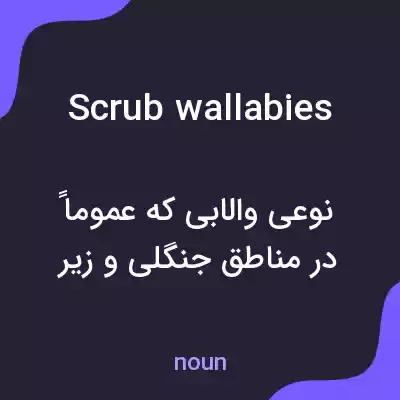 معنی scrub wallabies به فارسی معنی scrub wallabies به فارسی