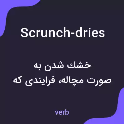 معنی scrunch-dries به فارسی معنی scrunch-dries به فارسی