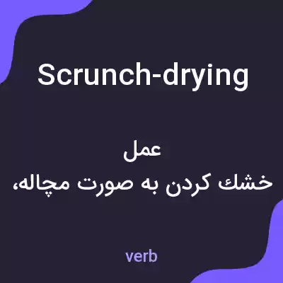 معنی scrunch-drying به فارسی معنی scrunch-drying به فارسی