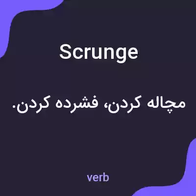 معنی scrunge به فارسی معنی scrunge به فارسی