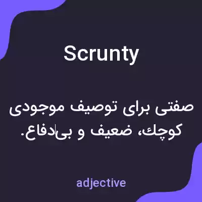 معنی scrunty به فارسی معنی scrunty به فارسی