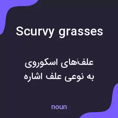 معنی scurvy grasses به فارسی معنی scurvy grasses به فارسی