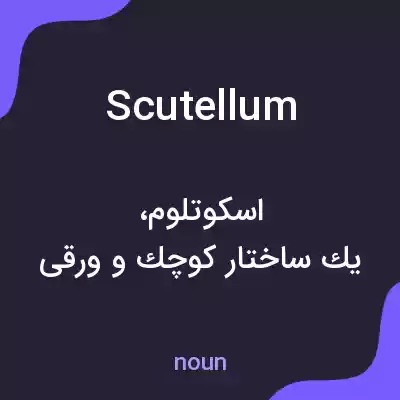 معنی scutellum به فارسی معنی scutellum به فارسی