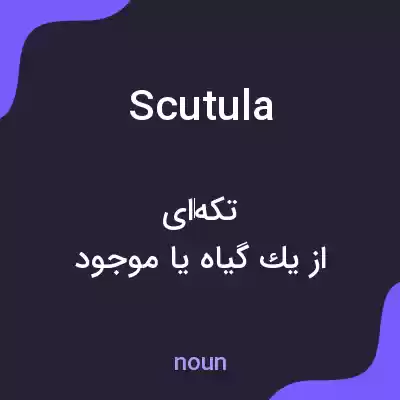 معنی scutula به فارسی معنی scutula به فارسی