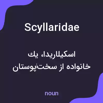 معنی scyllaridae به فارسی معنی scyllaridae به فارسی