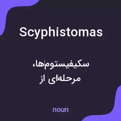 معنی scyphistomas به فارسی