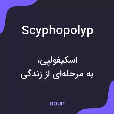 معنی scyphopolyp به فارسی معنی scyphopolyp به فارسی