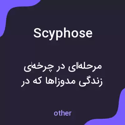 معنی scyphose به فارسی معنی scyphose به فارسی