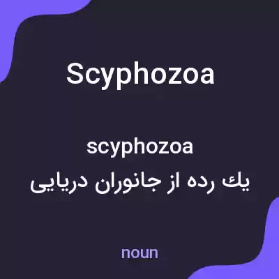 معنی scyphozoa به فارسی معنی scyphozoa به فارسی