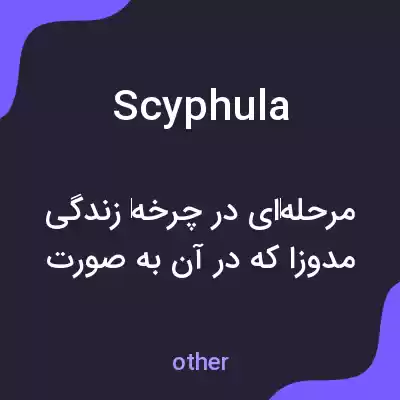 معنی scyphula به فارسی معنی scyphula به فارسی